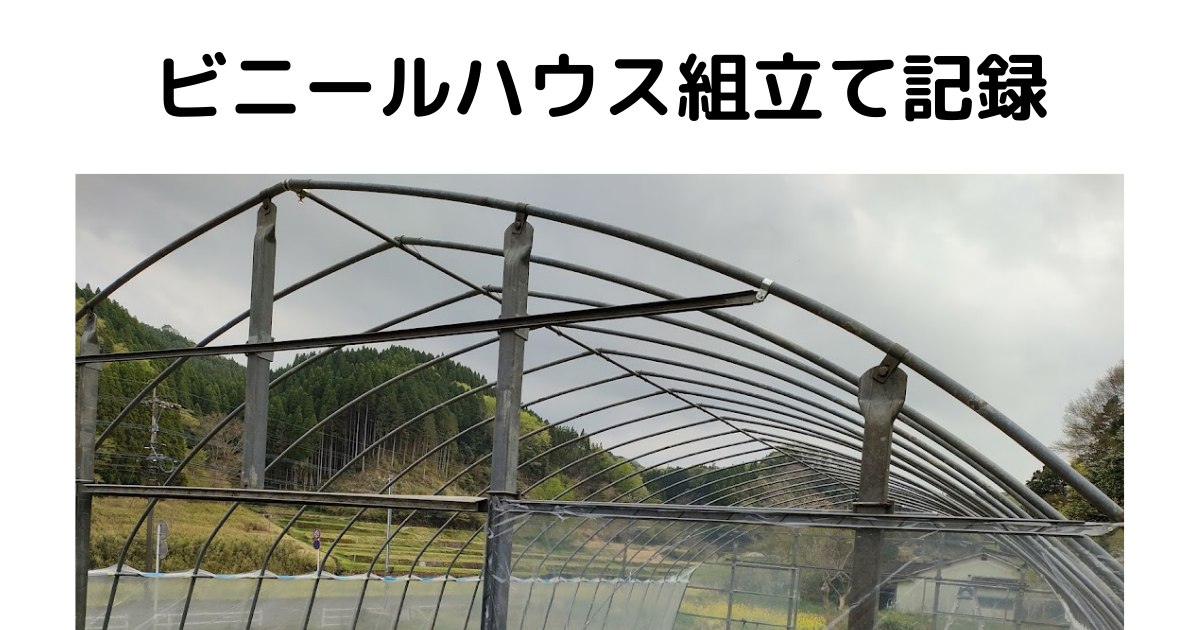 ビニールハウス組み立てました。 | おいしい しあわせ まるはね農園